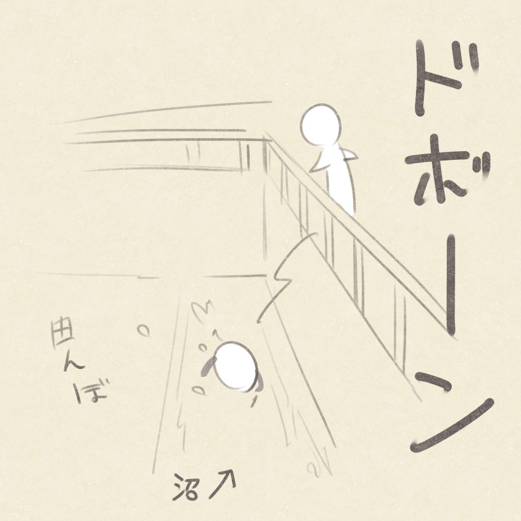ドボーン
沼
田んぼ