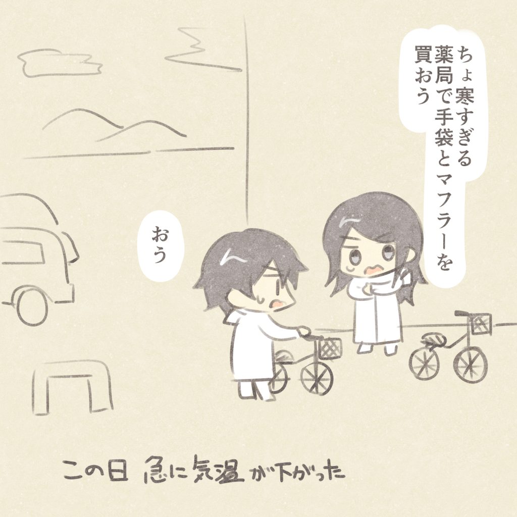 ちょ寒すぎる
薬局で手袋とマフラーを買おう
おう
この日急に気温が下がった